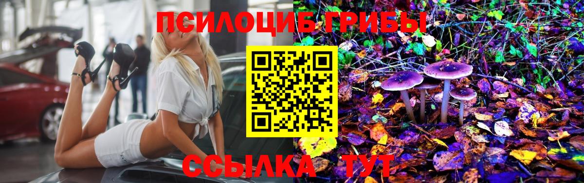 Лабинск  Псилоцибиновые грибы ЛСД  Вход с VPN  Галлюциногенные грибы Psilocybe 